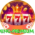 59a - Gaming Premium