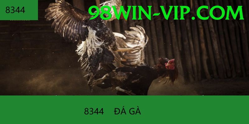 Cách Đọc Kèo Đá Gà - Download