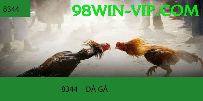Đá Gà Trực Tiếp - 98win - Game